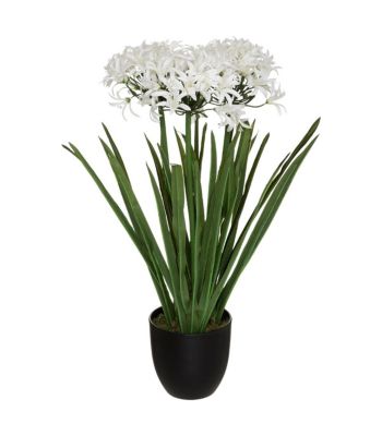 Plante artificielle Agapanthe en pot  H 66 cm