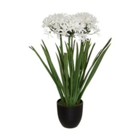 Plante artificielle Agapanthe en pot  H 66 cm