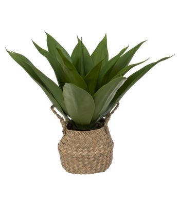 Plante artificielle Agave dans Pot en Roseau H 48 cm