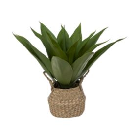 Plante artificielle Agave dans Pot en Roseau H 48 cm