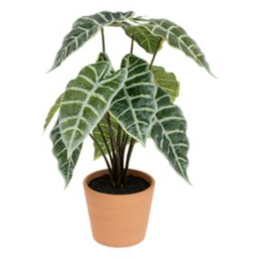 Plante artificielle Alocasia dans Pot en Terre cuite H 43 cm