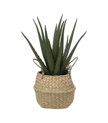 Plante artificielle Aloe vera dans Pot en Roseau H 37 cm