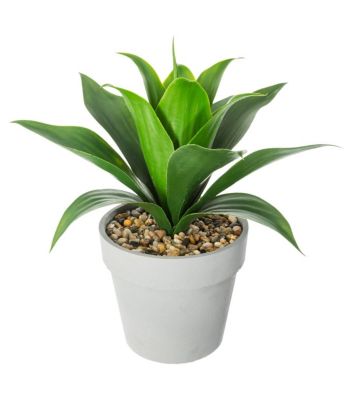 Plante artificielle Aloe vera en pot H 34 cm