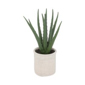 Plante artificielle Aloe vera Pot en coton H 29 cm