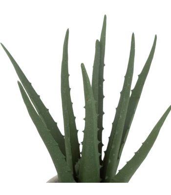 Plante artificielle Aloe vera Pot en coton H 29 cm