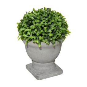 Plante artificielle Buis en pot D 14 x H 19 cm