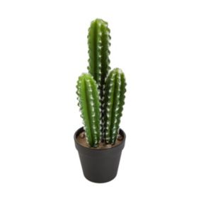 Plante artificielle Cactus en pot H 38 cm