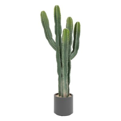 Plante artificielle Cactus Euphorbe en pot H 117 cm