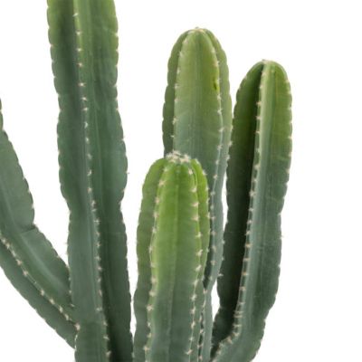 Plante artificielle Cactus Euphorbe en pot H 117 cm