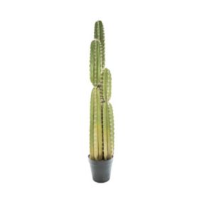 Plante artificielle Cactus Pin dans son pot H 185 cm