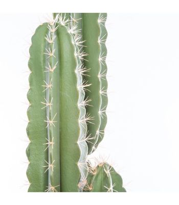 Plante artificielle Cactus Pin dans son pot H 185 cm