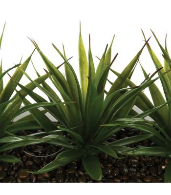 Plante artificielle Centre de table 3 Aloe Vera L 35 cm