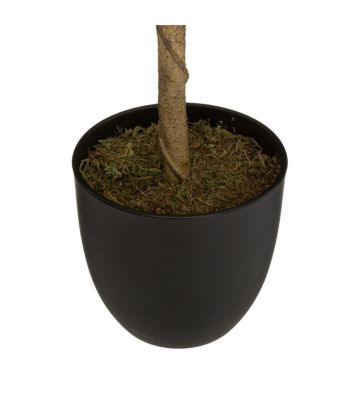 Plante artificielle Citronnier en Pot H 73 cm