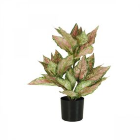 Plante artificielle croton rose 55cm