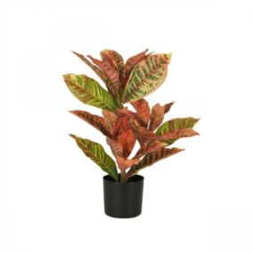 Plante artificielle croton rouge 55cm