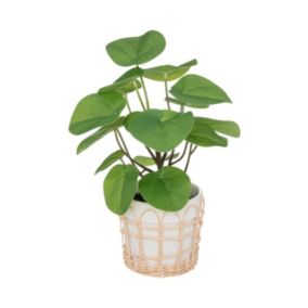 Plante artificielle dans pot en céramique et rotin H 34 cm