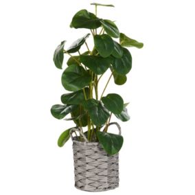 Plante artificielle en pot 55 cm KIBETI