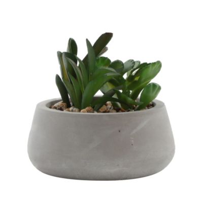 Plante artificielle en pot effet béton H.12cm Ornami
