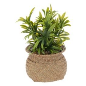 Plante artificielle en pot en roseau H20cm - Atmosphera