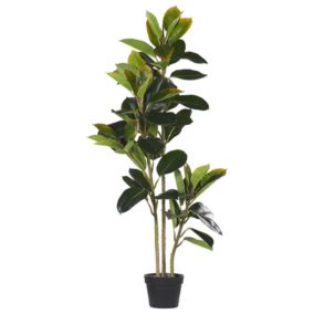 Plante artificielle FICUS ELASTICA Vert