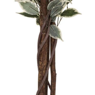 Plante artificielle Ficus en pot H 180 cm