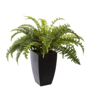 Plante artificielle Fougères en pot H 55 cm