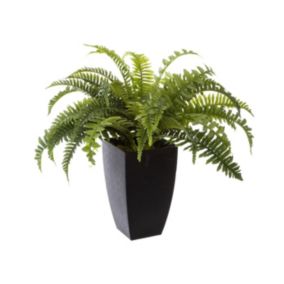 Plante artificielle Fougères en pot H 55 cm