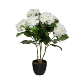 Plante artificielle Hortensia Blanc en pot H 60 cm