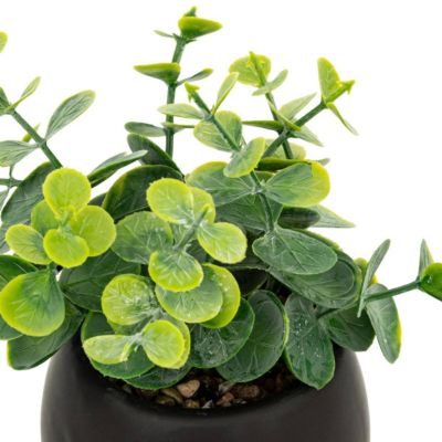 Plante artificielle Livy pot céramique H17cm - Atmosphera Créateur d'intérieur