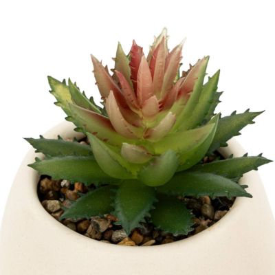 Plante artificielle Livy pot céramique H17cm - Atmosphera Créateur d'intérieur