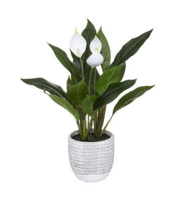 Plante artificielle Lys de la paix en pot H 54 cm