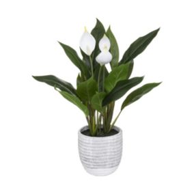 Plante artificielle Lys de la paix en pot H 54 cm