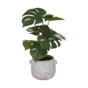 Plante artificielle Monstera dans Pot en ciment strié H 35 cm