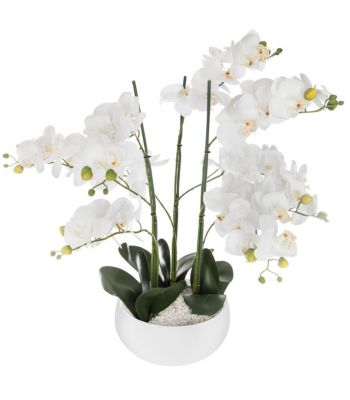 Plante artificielle Orchidée dans Pot en céramique blanche H 62 cm