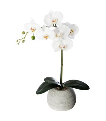 Plante artificielle Orchidée dans Pot en céramique H 50 cm