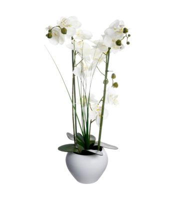 Plante artificielle Orchidée dans un pot en céramique blanche  H 53 cm