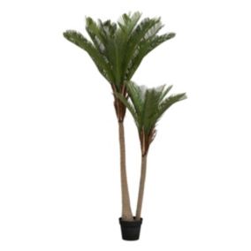 Plante artificielle Palmier 2 troncs H 180 cm