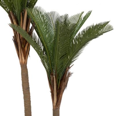 Plante artificielle Palmier 2 troncs H 180 cm