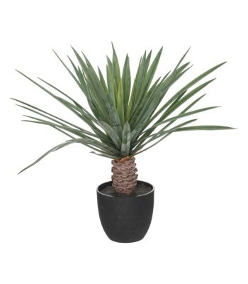 Plante artificielle Palmier  en pot H 52 cm