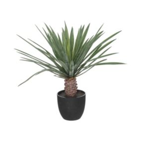 Plante artificielle Palmier  en pot H 52 cm