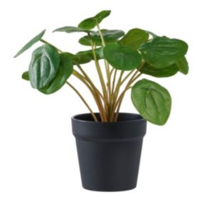 Plante Artificielle Pilea, Vert, Plastique PE, 28x28x28 cm, EPIKASA