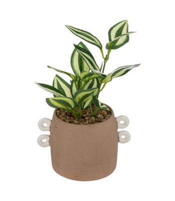 Plante artificielle pot en Céramique Cannelle H 21 cm