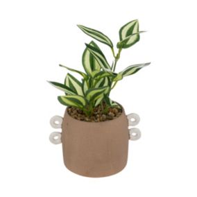 Plante artificielle pot en Céramique Cannelle H 21 cm