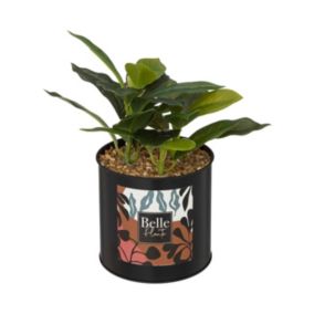 Plante artificielle Pot en métal H 20 cm