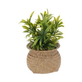 Plante artificielle pot en Roseau H 20 cm