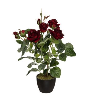 Plante artificielle Rosier Velours en pot H 43 cm