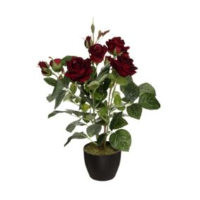 Plante artificielle Rosier Velours en pot H 43 cm