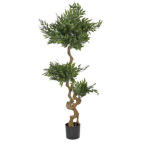 Plante artificielle RUSCUS TREE 166 cm