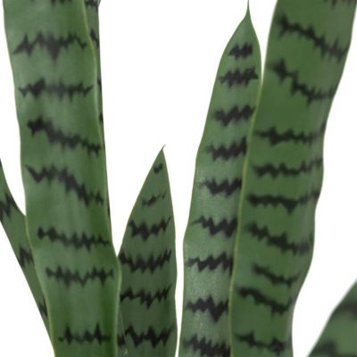 Plante artificielle sansevieria Toby pot noir H90cm - Atmosphera Créateur d'intérieur