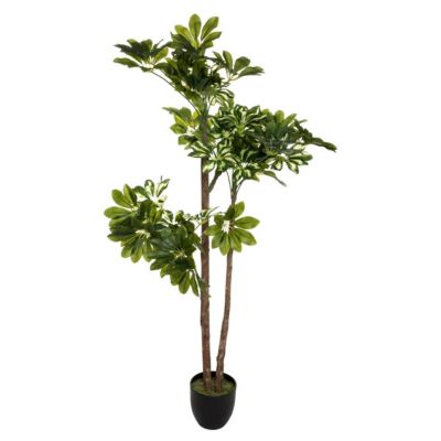 Plante artificielle Schefflera en pot  H 135 cm